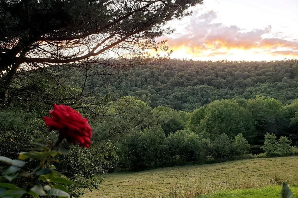 Breathtaking Views. Hot Tub. Huge Deck. Fast Wifi Villa Andes Eksteriør billede